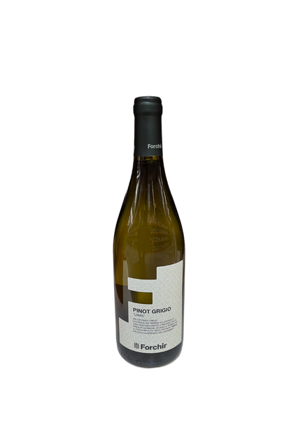 Forchir Pinot Grigio "Lamis"