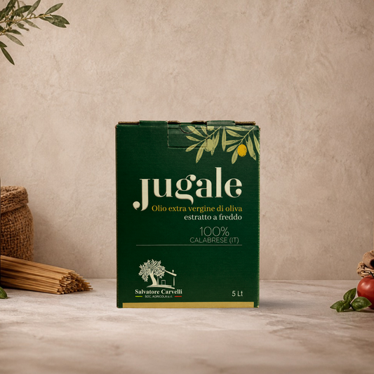 Calabrian Extra Virgin Olive Oil 5L | Italian Bag in Box
