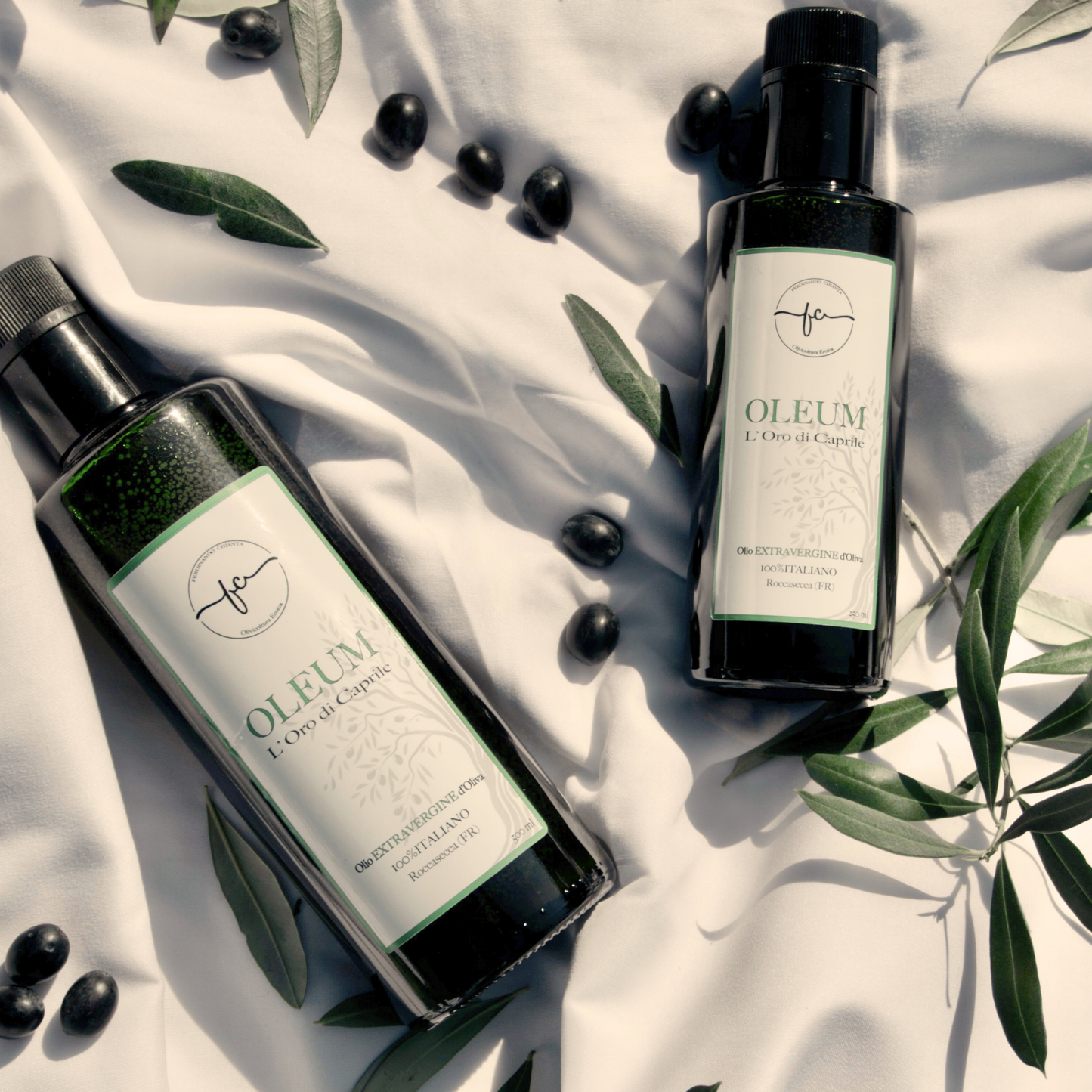 "Olio Extra Vergine di Oliva OLEUM 100% Italiano in bottiglie da 250ml e 500ml - Bundle Degustazione Essenza Pisterzi"