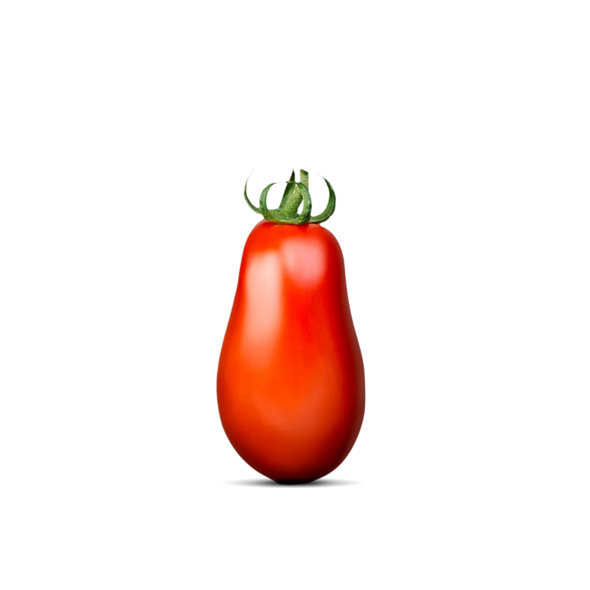 Lattina rossa di Pomodori Pelati di Puglia Rosso Gargano da 400 g con immagini di pomodori pelati