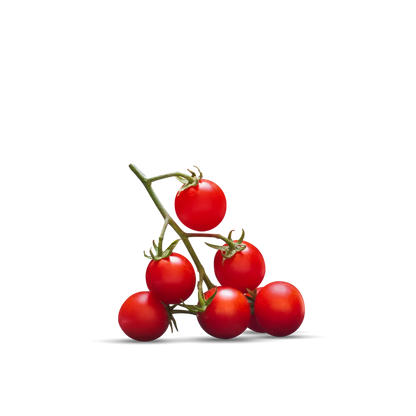Pomodorini di Puglia Rosso Gargano 400g – pomodorini dolci e succosi