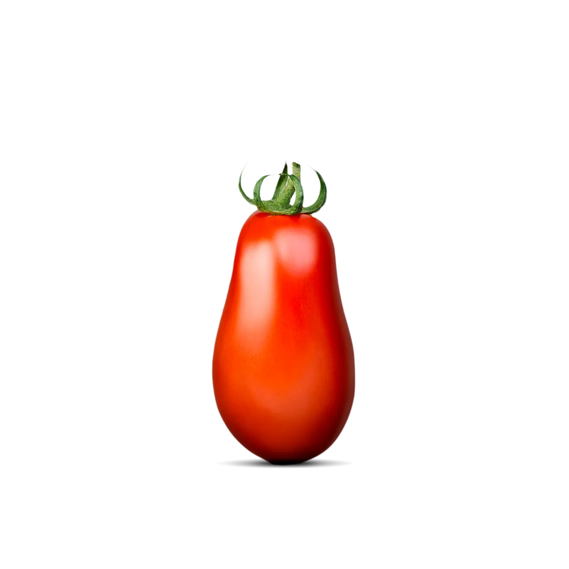 "Passata di pomodoro Rosso Gargano da 690g – autentica Passata di Puglia su Essenza Pisterzi"

